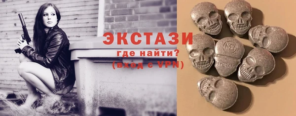 сатива Лабытнанги