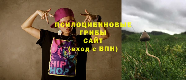 ГАЛЛЮЦИНОГЕННЫЕ ГРИБЫ Кулебаки