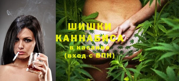 сатива Лабытнанги