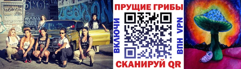 Псилоцибиновые грибы GOLDEN TEACHER  Плавск 